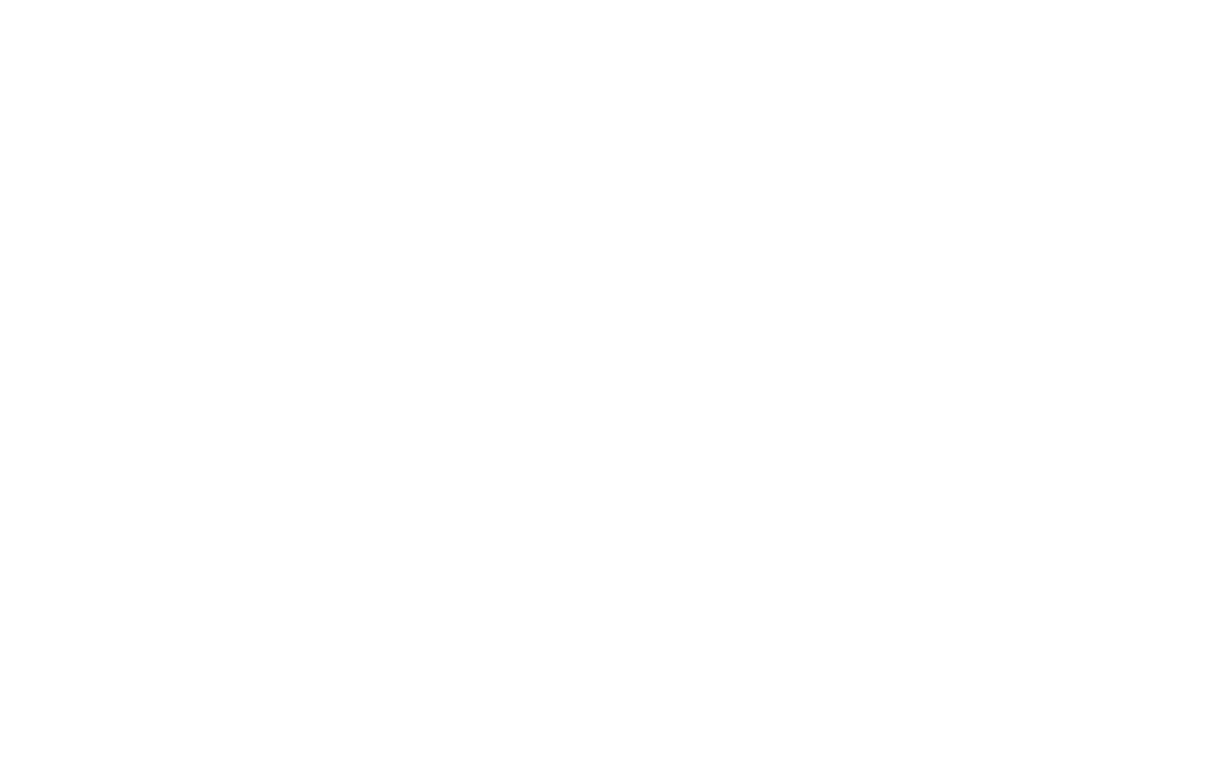Lion Digital Marketing
