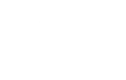 Lion Digital Marketing